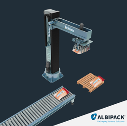 Automatic Palletizing Lines